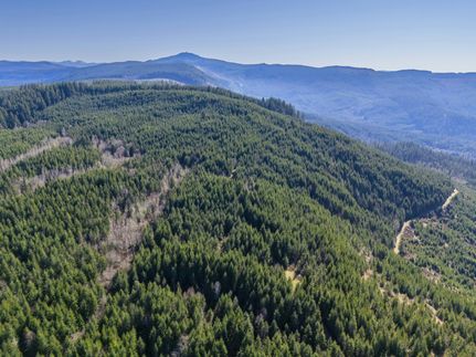 Timberland Property for sale in Lane County, Oregon