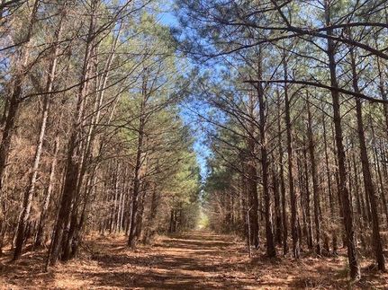 Recreational Property for sale in Webster Parish, Louisiana