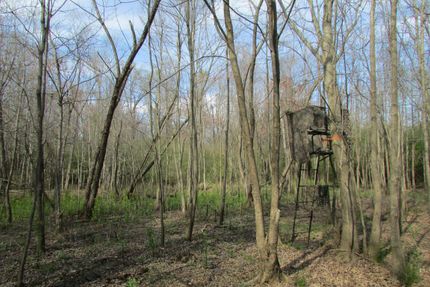 Farm and Ranch for sale in Lee County, South Carolina