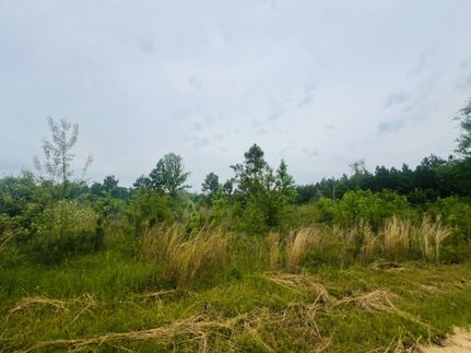 Timberland Property for sale in Laurens County, Georgia