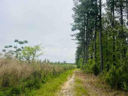 Recreational Property for sale in Laurens County, Georgia