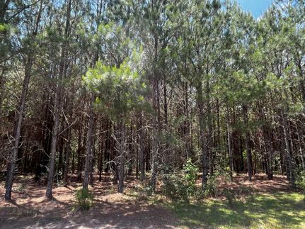 Farm and Ranch for sale in Geneva County, Alabama