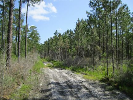 Farm and Ranch for sale in Union County, Florida