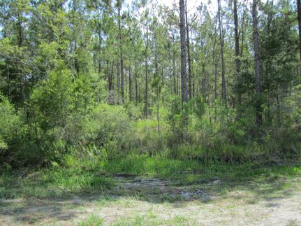 Recreational Property for sale in Bradford County, Florida