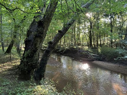 Recreational Property for sale in Abbeville County, South Carolina