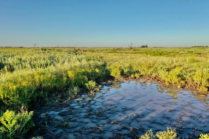 Farm and Ranch for sale in Floyd County, Texas