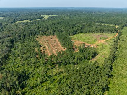 Land for sale in San Augustine County, Texas