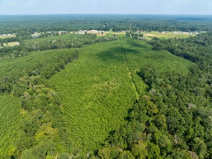 Farm and Ranch for sale in Sabine County, Texas