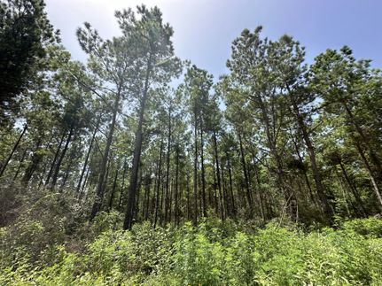 Recreational Property for sale in Sabine County, Texas