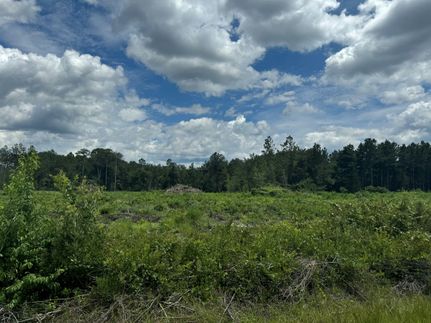 Timberland Property for sale in Union County, Florida