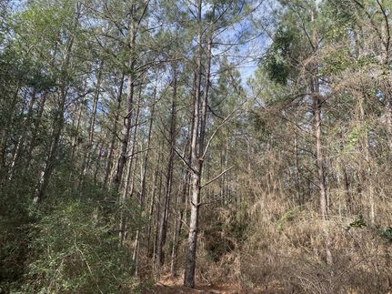 Farm and Ranch for sale in Shelby County, Texas