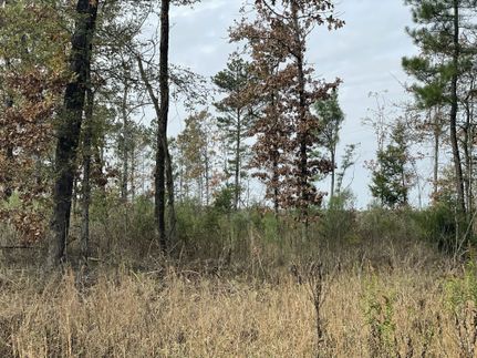 Farm and Ranch for sale in Red River County, Texas