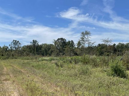 Farm and Ranch for sale in Red River County, Texas