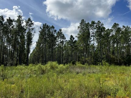 Undeveloped Land for sale in Leon County, Florida