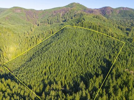 Undeveloped Land for sale in Lane County, Oregon