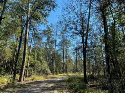 Farm and Ranch for sale in Jasper County, Texas