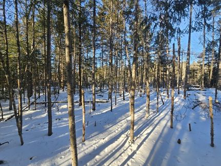 Recreational Property for sale in Piscataquis County, Maine