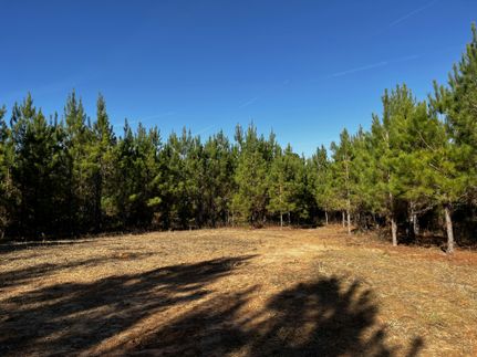 Farm and Ranch for sale in Quitman County, Georgia