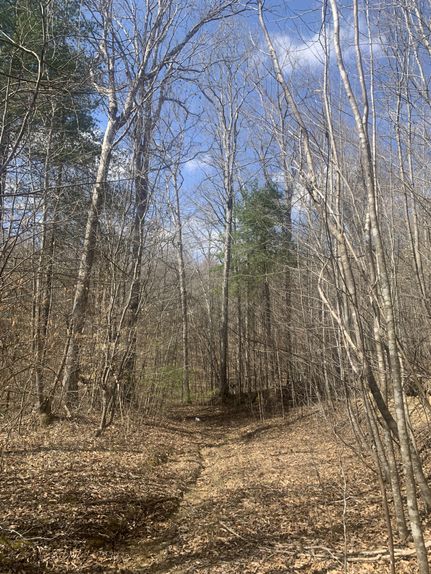 Timberland Property for sale in Scott County, Tennessee