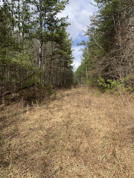 Farm and Ranch for sale in Morgan County, Tennessee