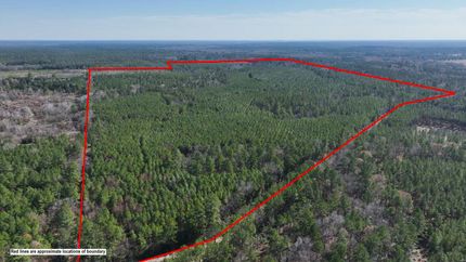 Farm and Ranch for sale in Trinity County, Texas
