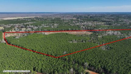 Land for sale in Angelina County, Texas