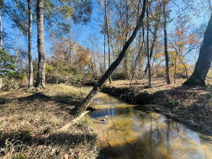 Undeveloped Land for sale in Schley County, Georgia