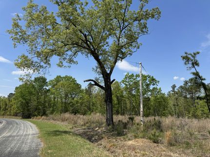 Farm and Ranch for sale in Sumter County, South Carolina
