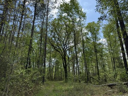 Farm and Ranch for sale in Sumter County, South Carolina