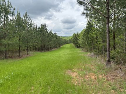 Farm and Ranch for sale in Montgomery County, North Carolina