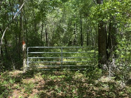 Farm and Ranch for sale in Colleton County, South Carolina