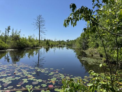 Farm and Ranch for sale in Sumter County, South Carolina