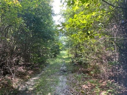 Farm and Ranch for sale in Rusk County, Texas