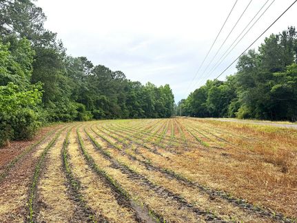 Farm and Ranch for sale in Dorchester County, South Carolina