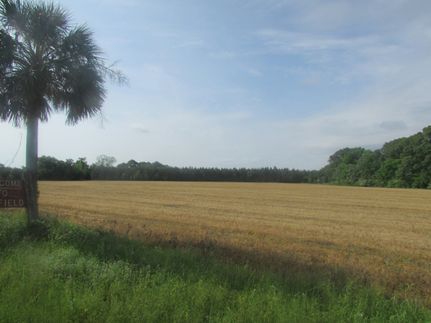 Farm and Ranch for sale in Orangeburg County, South Carolina