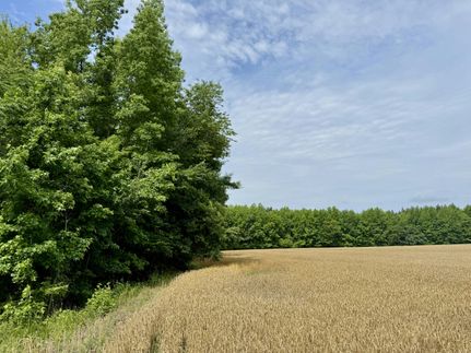 Farm and Ranch for sale in Florence County, South Carolina