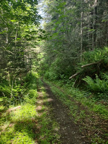 Recreational Property for sale in Clallam County, Washington
