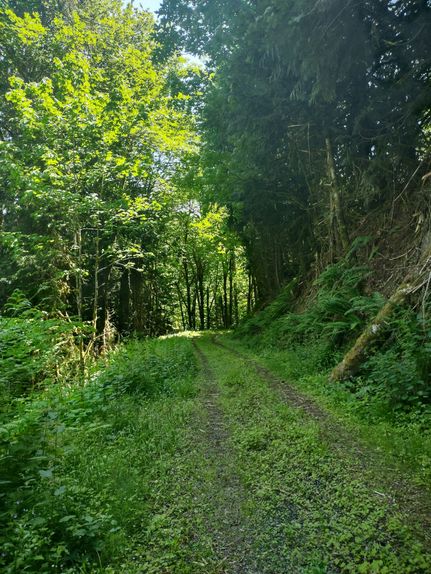 Farm and Ranch for sale in Clallam County, Washington
