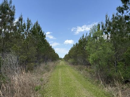 Farm and Ranch for sale in Calhoun County, Florida
