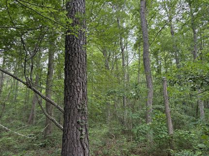 Timberland Property for sale in Dinwiddie County, Virginia