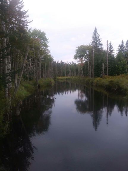 Undeveloped Land for sale in Washington County, Maine