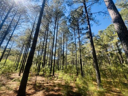 Recreational Property for sale in Dooly County, Georgia