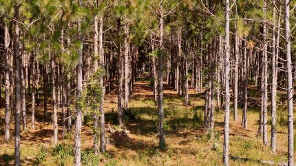 Farm and Ranch for sale in Richmond County, North Carolina