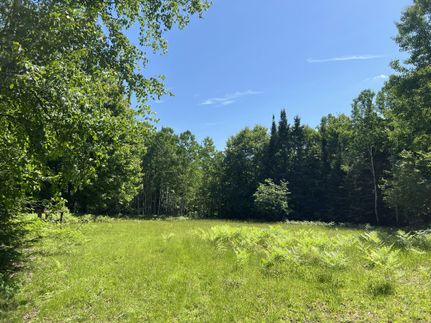 Timberland Property for sale in Houghton County, Michigan