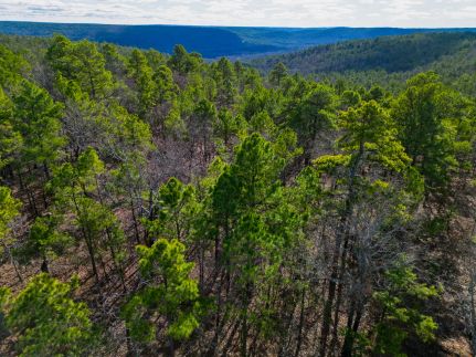 Recreational Property for sale in Pittsburg County, Oklahoma