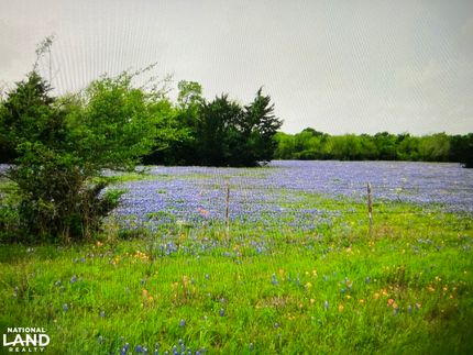 Timberland Property for sale in Grimes County, Texas