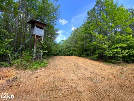 Land for sale in Pickens County, Alabama
