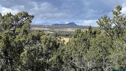 Farm and Ranch for sale in Catron County, New Mexico
