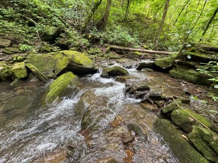 Farm and Ranch for sale in Van Buren County, Arkansas