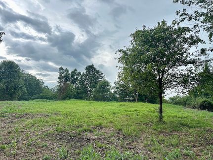 Farm and Ranch for sale in Wayne County, West Virginia